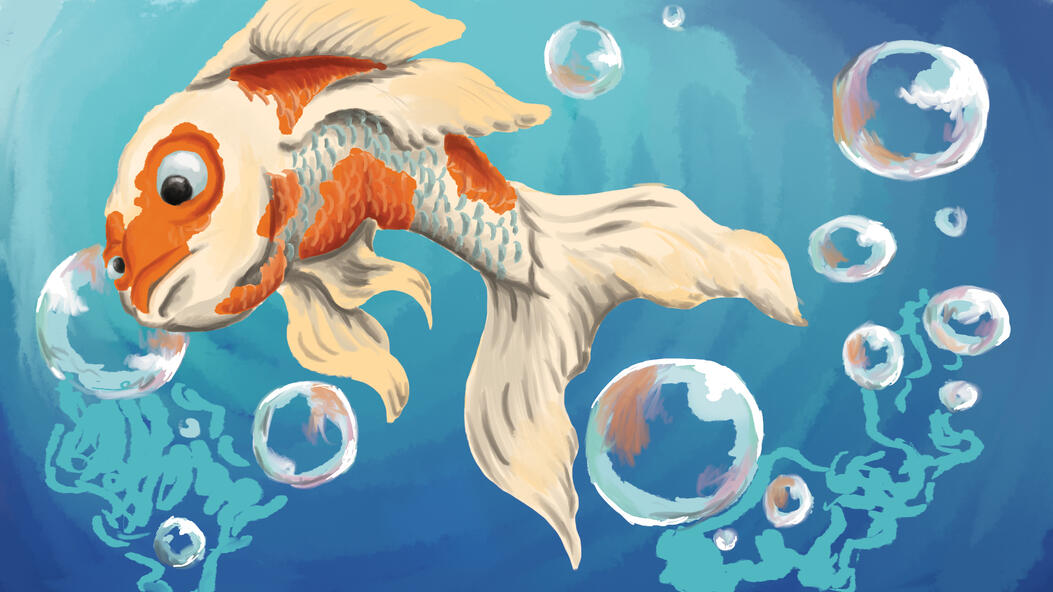 Gold Fish