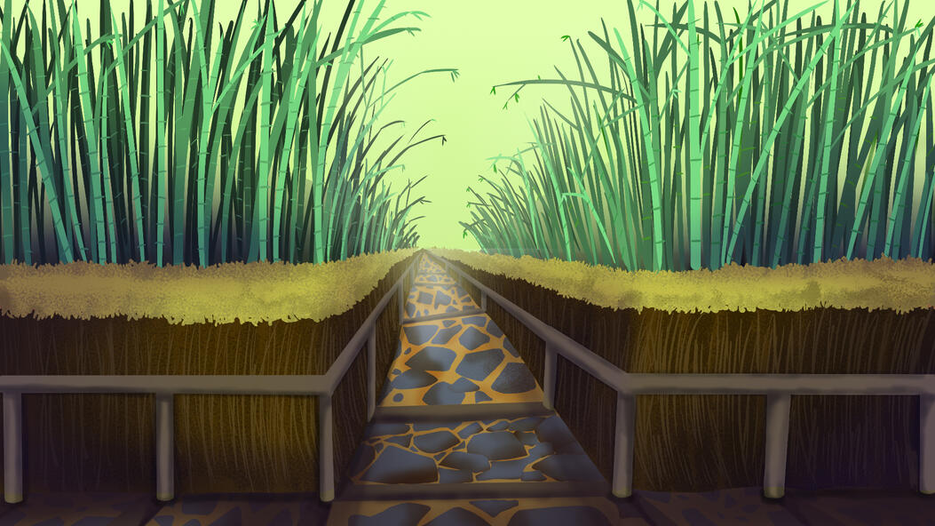 Bamboo Forest